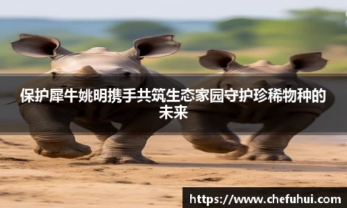 U8国际官网