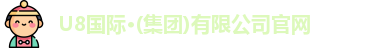 U8国际
